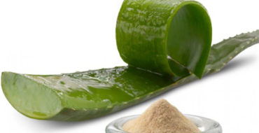 aloe vera