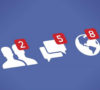 fb