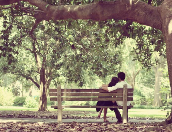 ebdomadiaies_problepseis